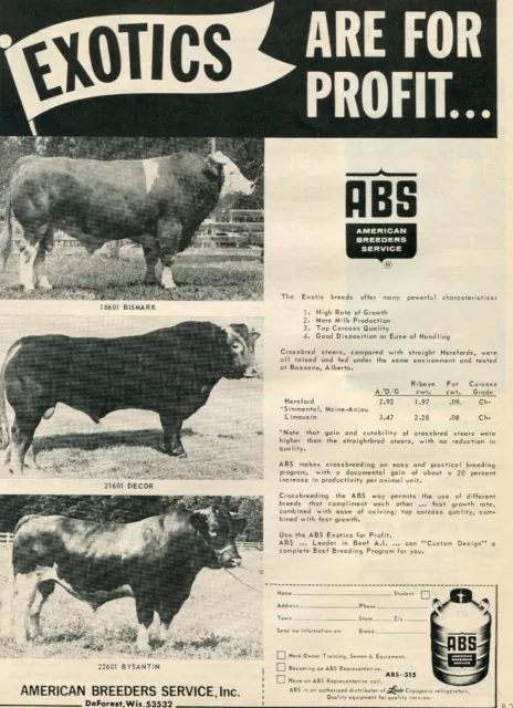 1971 Print Ad of American Breeders Service ABS Exotics are for Profit