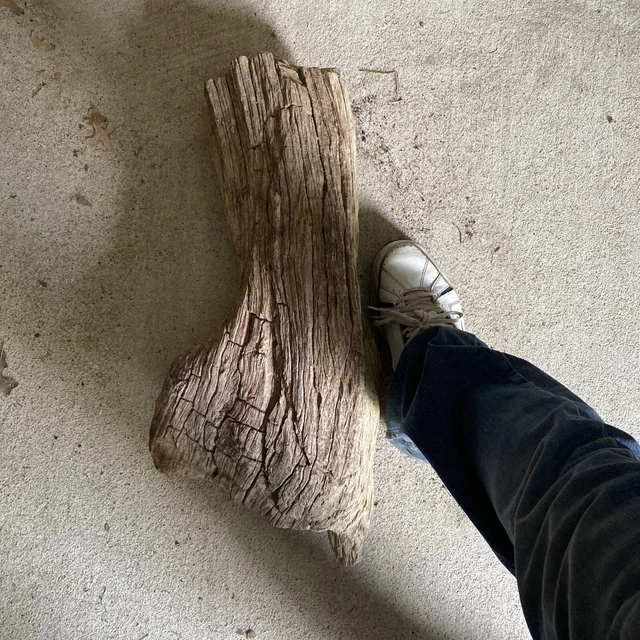 large petrified wood log. Very Heavy!  beautiful