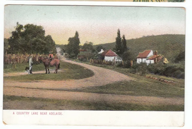A Country Lane Near Adelaide OLD POSTCARD South Australia circa 1907