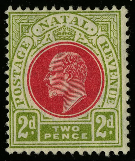 Natal   1904-08   Scott # 103   Mint Lightly Hinged