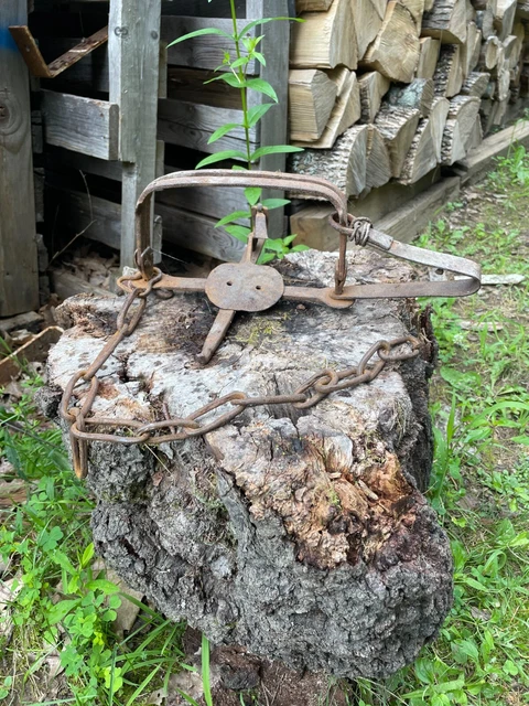 Antique Hand Forged Steel Trap ~