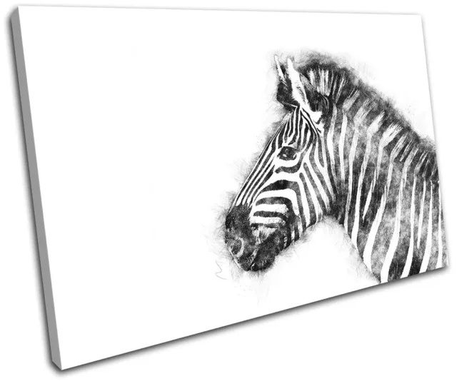 Zebra Abstract Scribble Animals SINGLE CANVAS WALL ART Picture Print