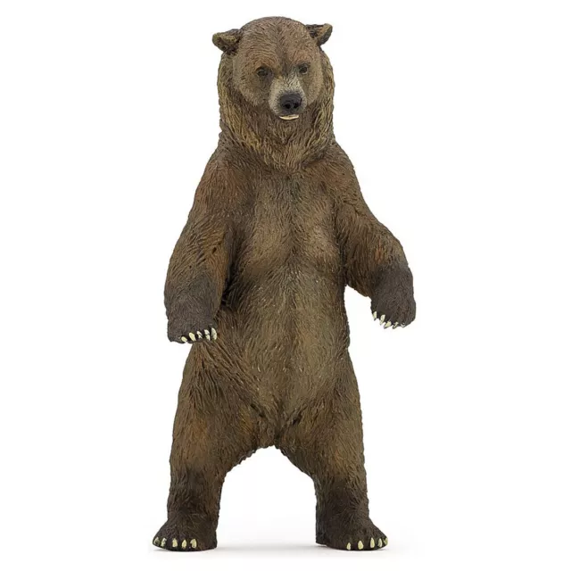 PAPO Grizzly Bear Wild Animal Kingdom 50153 Figure Kids Toy Collectables Aged 3+