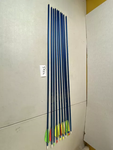 bow hunting arrows Genesis Easton 1820, 54S2 bow hunting arrows Genesis Easton 1820, 54S2