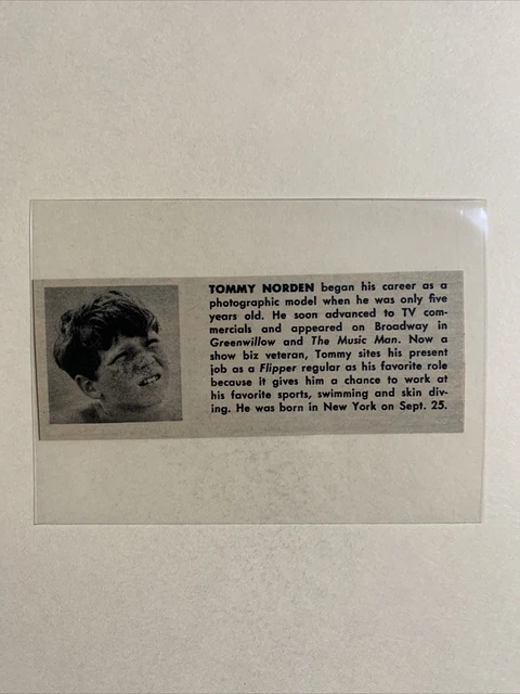 TOMMY NORDEN FLIPPER 1965 Hollywood Star Panel £12.21 - PicClick UK