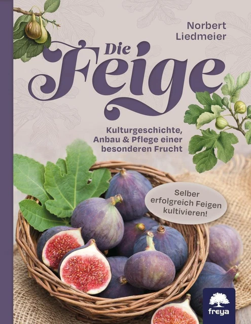 Die Feige - Norbert Liedmeier - 9783990254325 PORTOFREI