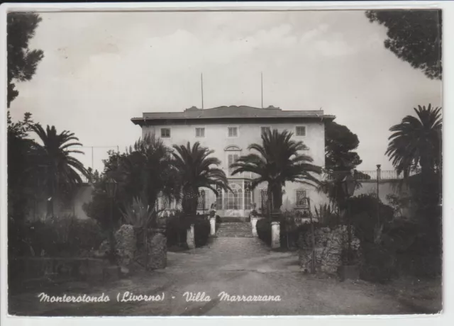 Vecchia Cartolina Di Monterotondo - Livorno - Anni 50/60 - Formato Grande