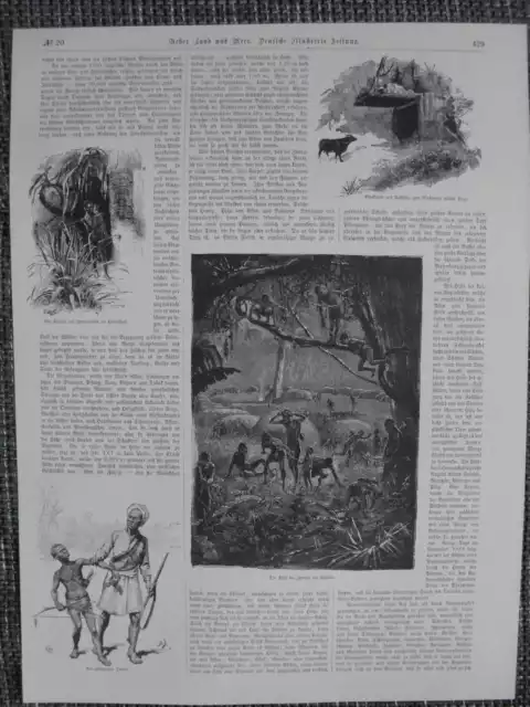 Pygmäen im Urwald von Afrika Zeitungsartikel von 1889 Henry M. Stanley 2