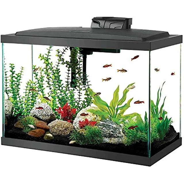 Glass Aquarium Fish Tank Starter Kit with LED Lighting 20 Gallon High Fish Tank