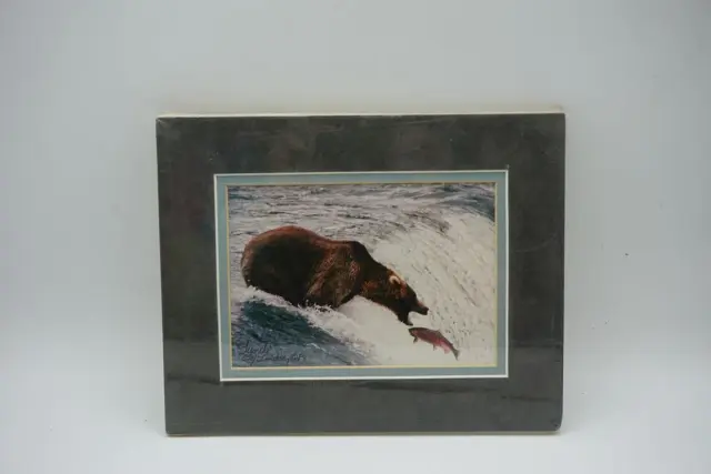 Lunch Brown Bear Salmon Katmai Alaska Photograph w/ Matte 8"x10" Signed