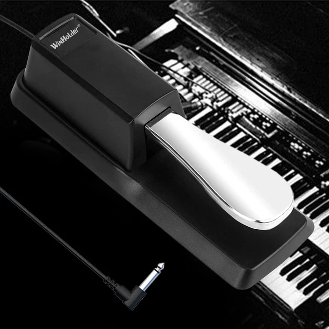 UNIVERSAL SUSTAIN FOOT Pedal Polarity Switch Digital Piano Electronic