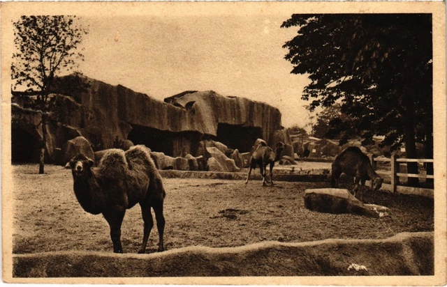 CPA Vincennes Museum National Zoo (1347467)