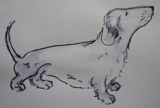 Original pen & ink water wash dog drawing of a Dachshund sausage dog on paper