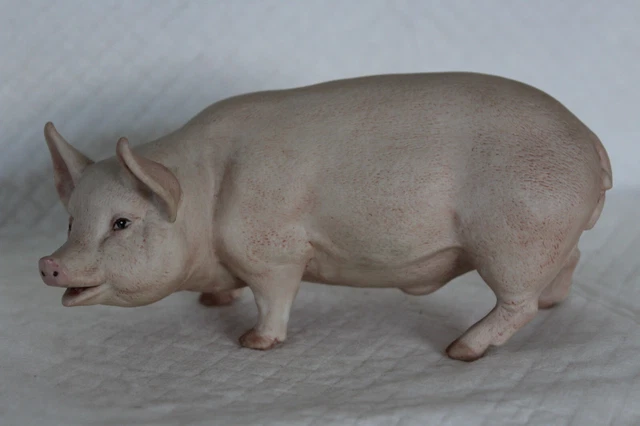 Aynsley Male Boar 16cm Pig Figurine - VGC