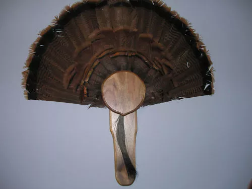 WILD TURKEY TAIL FAN MOUNT PLAQUE (Oak, Walnut, Cedar, Cherry, Or Barnwood)  DIY $19.99 - PicClick