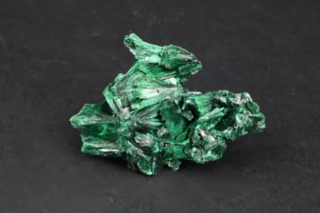 Malachite primaire du Congo 53g spécimen minérale