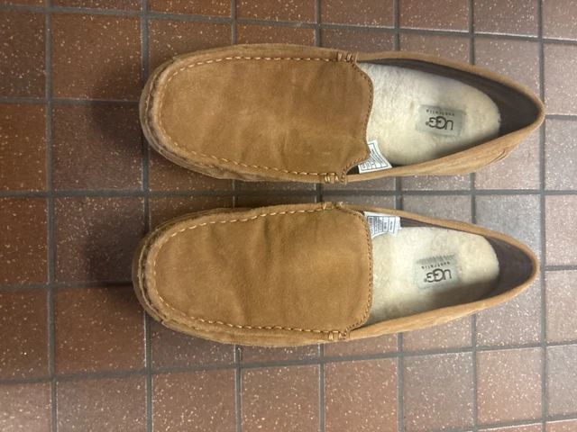 Slippers, Men's Shoes, Men, Clothing, Shoes & Accessories