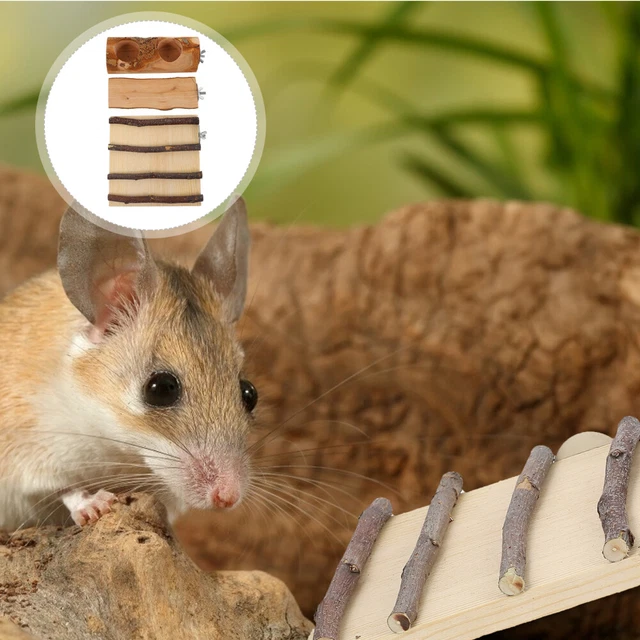 1 Satz Holzhamster Kauen Spielzeug Zähne Schleifen Spielzeug Guinea Pig