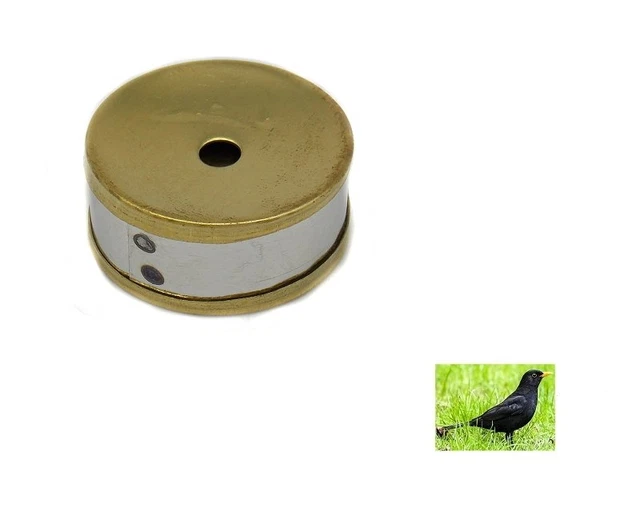 Richiamo Gazza E Ghiandaia DELFIERO - In Ottone, Per Caccia E Birdwatching