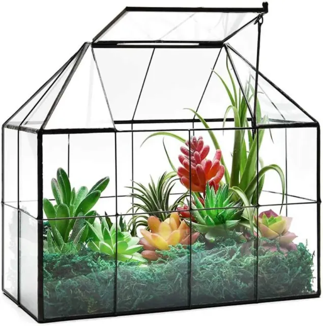 Large Glass Terrarium House Planter – Succulent Plant Terrarium House Shape Glas