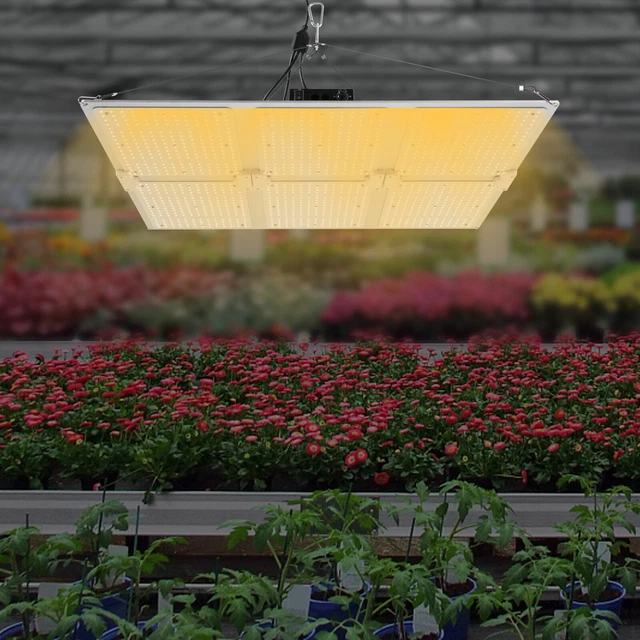 LED GROW LIGHTS Panel Sunlike 1200W Full Spectrum For Indoor Plants ...