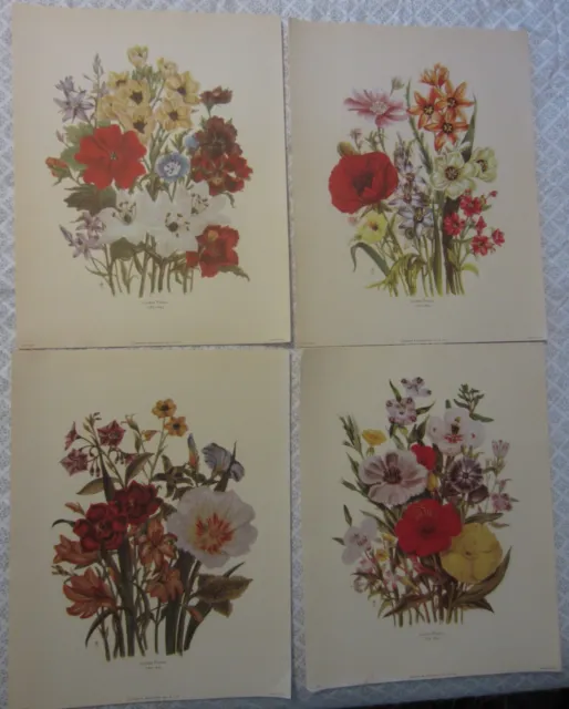 Loudon Florals Art Prints Four Litho Pictures Vintage Henry B Sandler NYC