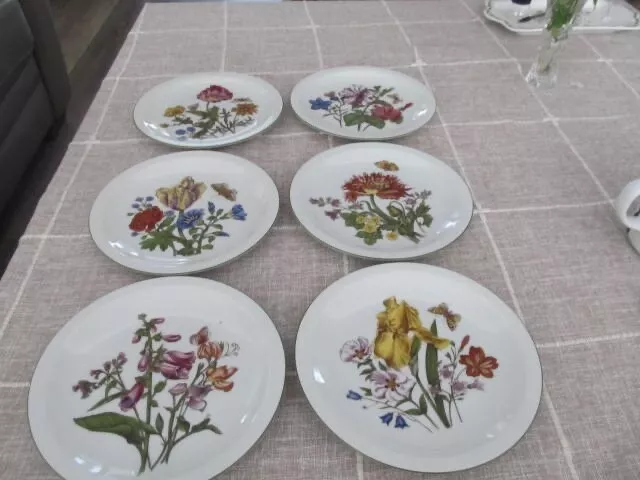 Set of 6 Vintage Bareuther Waldsassen Floral Butterfly Plate Bavaria Germany