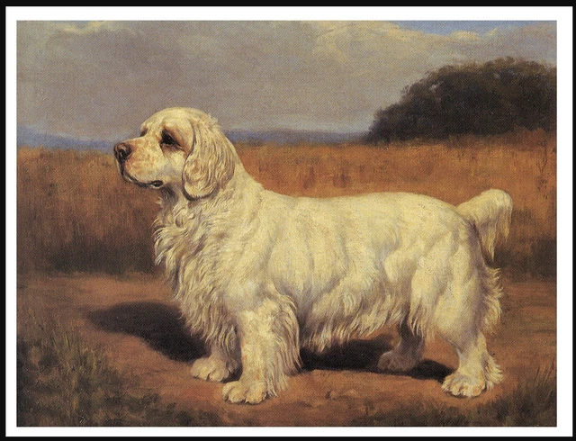Clumber Spaniel Lovely Vintage Style Dog Art Print Poster
