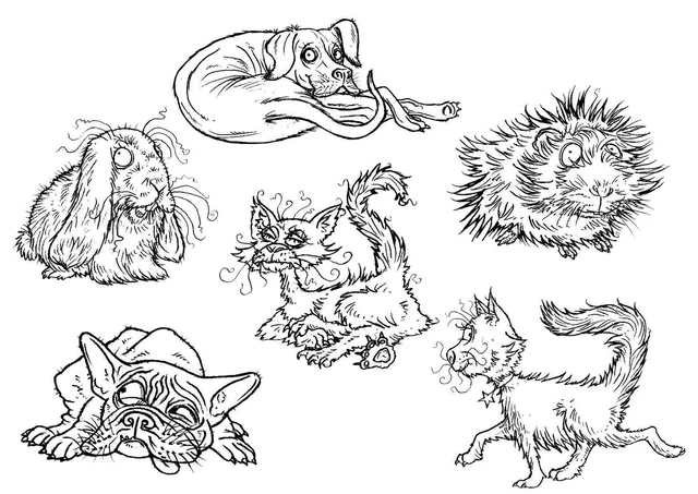 Estampillas transparentes The Card Hut 4""x6"" de Mark Bardsley-Wild World mascotas preciosas -MBWW