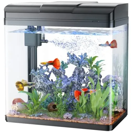 Fish Tank, 3 Gallon Glass Aquarium with Air Pump, LED Cool 3-Gallon Black