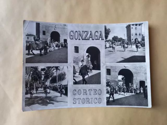 Cartolina Gonzaga Viaggiata Mantova