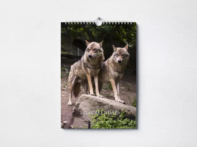 Wolf  Calendar 2024 | Monthly Wall Calendar, A4 Hanging Calendar