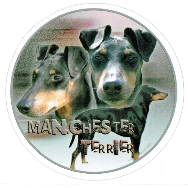 Design  Aufkleber Manchester Terrier Hund Dog 15 cm Autoaufkleber