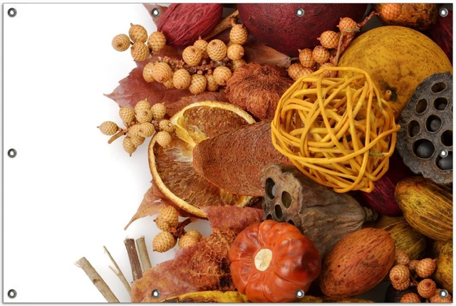 Wallario Garten Bakon Poster Zaun Sichtschutz wetterfest - Herbststimmung
