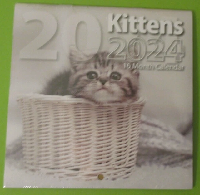 2024 MINI 6X6& WALL MONTHLY Calendar KITTENs CATs Animals Small 16