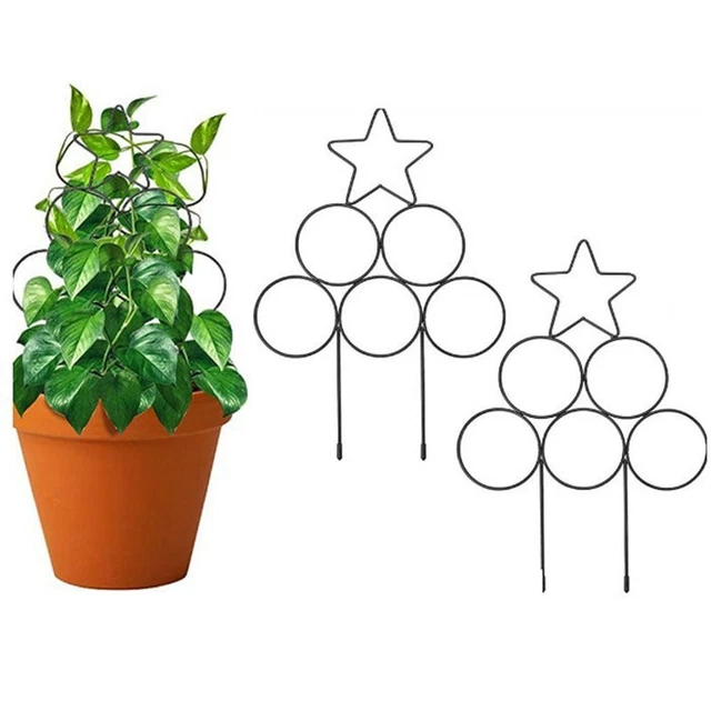 Fleur Support pour plantes Cadre d'escalade Support d'escalade Tige de fixation