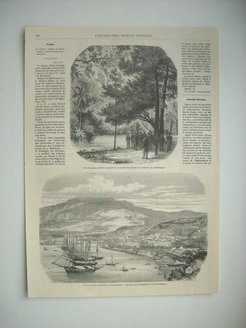 Gravure 1861. Ville Et Port De Saint-Pierre, Martinique. Jardin Des Plantes De S
