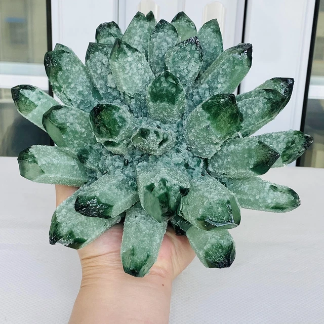 New Find Green Phantom Quartz Crystal Cluster Mineral Specimen Healing 3260G