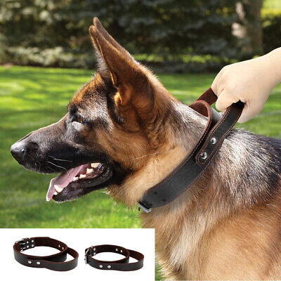 Heavy Duty Soft Real Leather Dog Collar with Control Handle for Training Pitbull