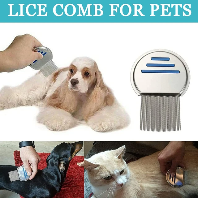 Steel Head Lice Comb Fine Tooth Pet Dog Cat Flea Hair Kids Nit Eggs Removal US