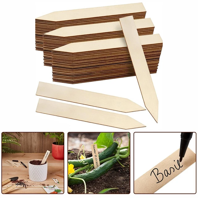 30 Étiquettes En Bois Pour Plantes + Marqueur - 10x6 Cm - Parfaites Pour Jardin, Potager Et Plantes En Pot