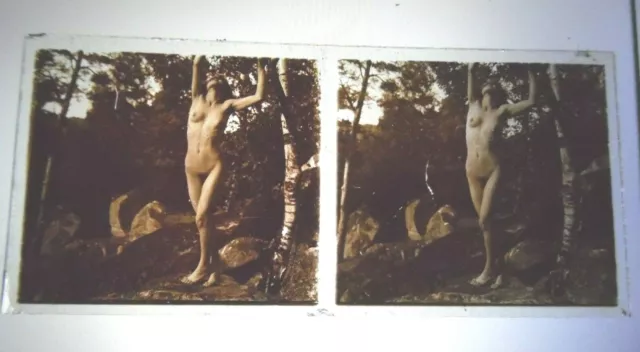 - Érotisme Nu Artistique Femme Nue Plaque Verre Stereoscopique 13X6 Vs 1900 N°33