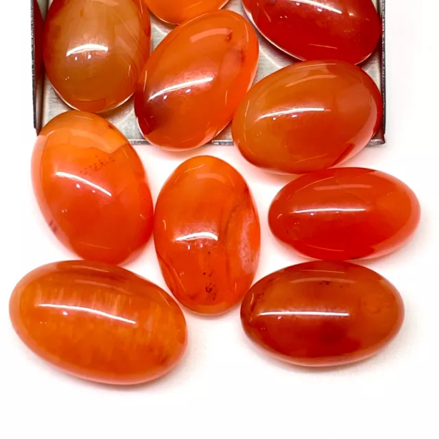 12 Pcs Natural Orange Carnelian 20-22mm Oval Cabochon Loose Gemstones 198.70 Cts