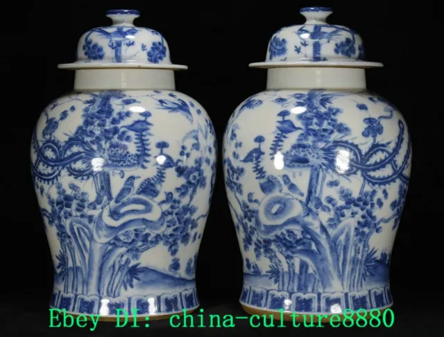16,5 "Qing dynastie cyan porcelaine Phoenix oiseau Crocodile pot paire