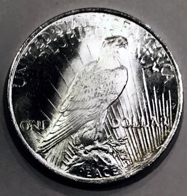 1924 Peace Dollar Unmatched Example$$ Flawless Superb Gem Bu++++Wow Nr #S195