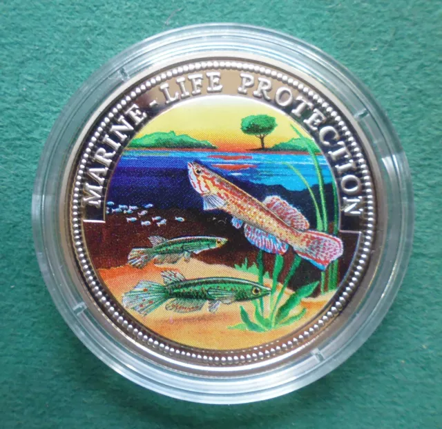 Somalia  - 10 Dollar - Farbmünze - Killifische  - Marine Life Protection - 1999