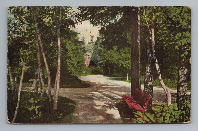 City Park Red Bench DB 1910s Portland Oregon Postcard