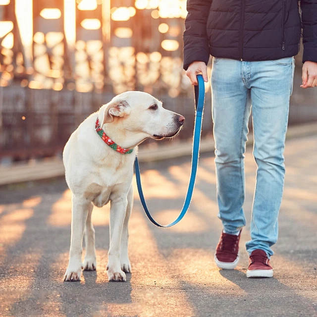 Hundehalsband Weihnachten Haustierhalsband Verstellbares Haustierhalsband