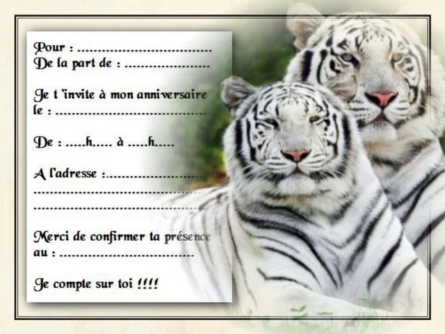 Invitation Anniversaire Par 5 Ou 12 Cartes Ref 1026 Eur 3 15 Picclick Fr