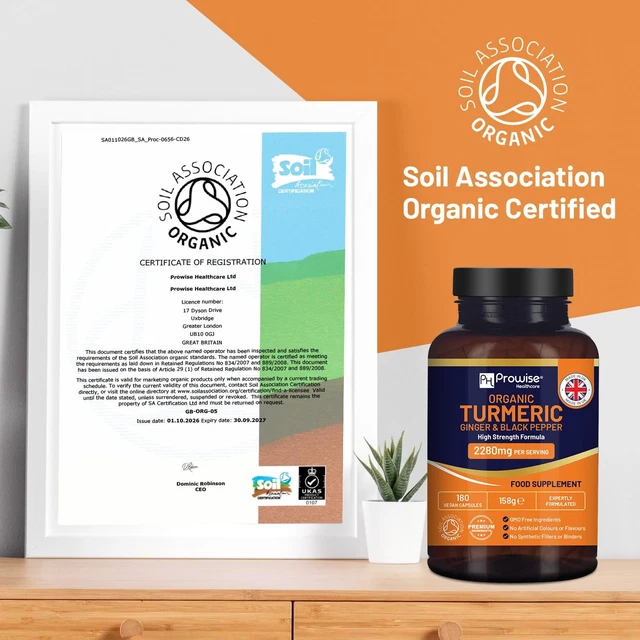 PROWISE ORGANIC TURMERIC 2280mg Curcumin Black Pepper Ginger 180 ...